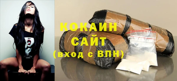 кокс Алексин