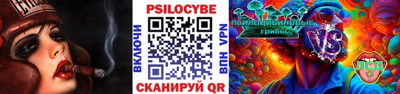 Галлюциногенные грибы прущие грибы  Кемерово 