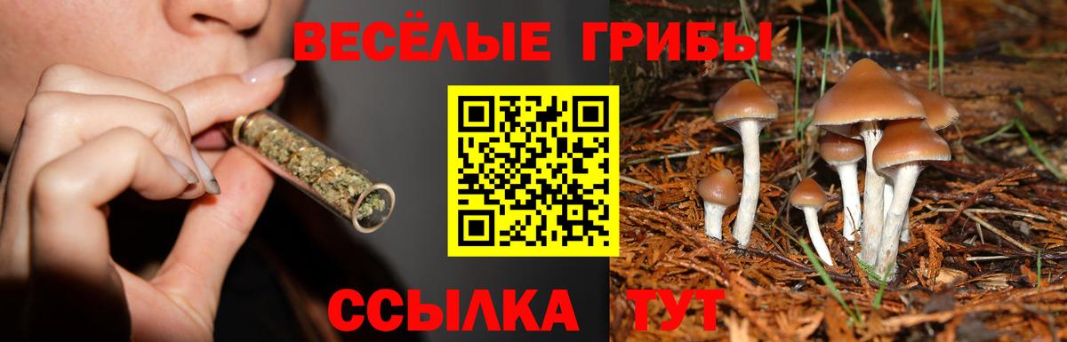 Псилоцибиновые грибы ЛСД Кемерово